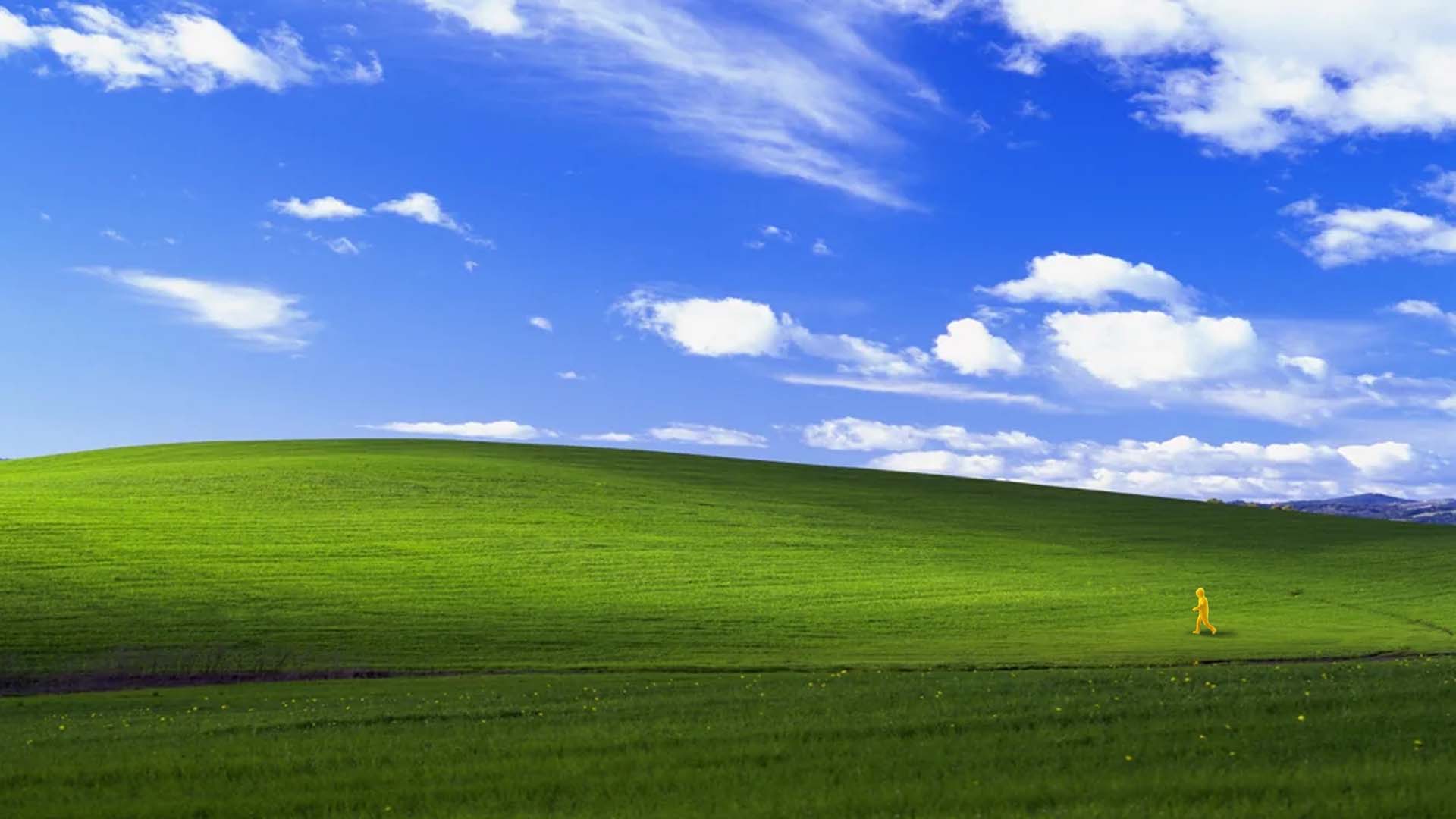 Windows XP Bliss Wallpaper